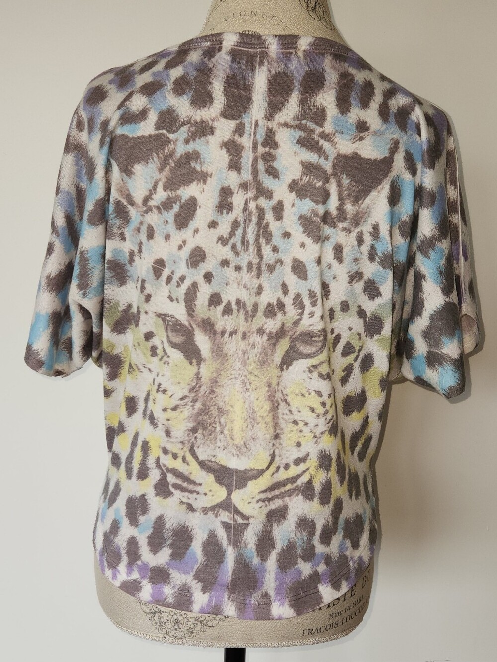 Leopard - Picture 4 of 11